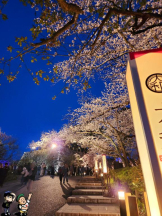 アズクラブ - やよいの女の子ブログ画像