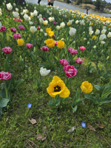 アズクラブ - りこの女の子ブログ画像