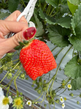 God Field - みやびの女の子ブログ画像