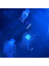 God Field - みやびの女の子ブログ画像