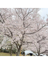 God Field - みやびの女の子ブログ画像