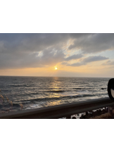 月紅 - リンの女の子ブログ画像