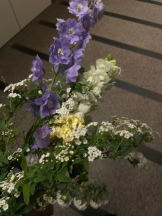 ViVian - よしのの女の子ブログ画像