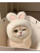 ViVian - よしのの女の子ブログ画像