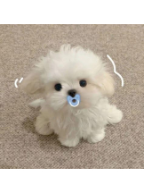 ViVian - よしのの女の子ブログ画像