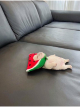 ViVian - よしのの女の子ブログ画像