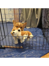 ViVian - よしのの女の子ブログ画像