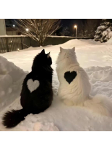 ViVian - よしのの女の子ブログ画像