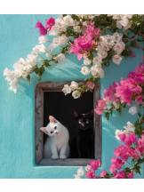 ViVian - よしのの女の子ブログ画像