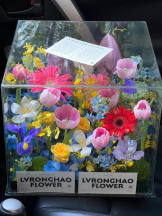 ViVian - よしのの女の子ブログ画像