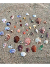 ViVian - よしのの女の子ブログ画像