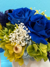 ViVian - よしのの女の子ブログ画像