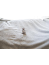 ViVian - よしのの女の子ブログ画像