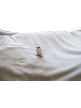 ViVian - よしのの女の子ブログ画像