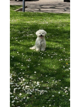 ViVian - よしのの女の子ブログ画像