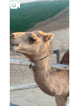 God Field - ゆあの女の子ブログ画像