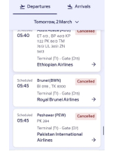 God Field - ゆあの女の子ブログ画像