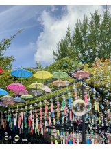 WA-hoo - 新　かれんの女の子ブログ画像