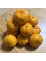 WA-hoo - 新　かれんの女の子ブログ画像