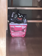 月紅 - ほむらの女の子ブログ画像