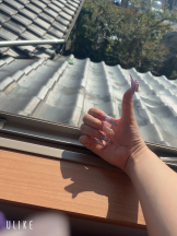 月紅 - ほむらの女の子ブログ画像