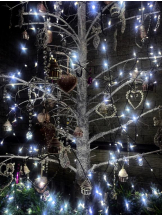 ViVian - くるみの女の子ブログ画像