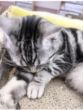 ViVian - くるみの女の子ブログ画像