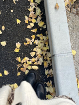 ViVian - くるみの女の子ブログ画像