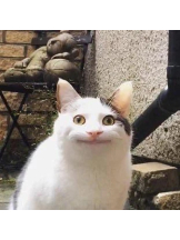 God Field - ほのかの女の子ブログ画像