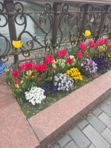 God Field - ほのかの女の子ブログ画像