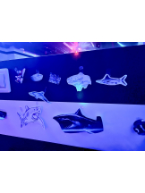 VIVID - るいの女の子ブログ画像