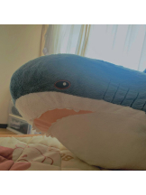 VIVID - るいの女の子ブログ画像