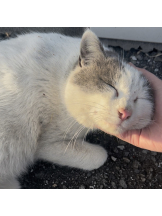 VIVID - るいの女の子ブログ画像