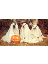 小倉OIRAN - みおの女の子ブログ画像