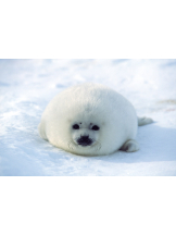 小倉OIRAN - もえの女の子ブログ画像