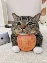 小倉OIRAN - もえの女の子ブログ画像