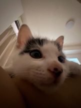 ViVian - ましろの女の子ブログ画像