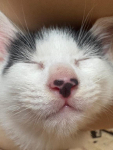 ViVian - ましろの女の子ブログ画像