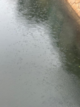 ViVian - ましろの女の子ブログ画像