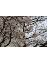 God Field - はづきの女の子ブログ画像