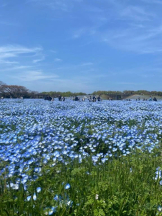 God Field - はづきの女の子ブログ画像