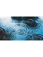 簪 - はるの女の子ブログ画像