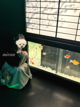 Club clover - みらんの女の子ブログ画像