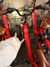 Club clover - せいかの女の子ブログ画像