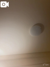 Club clover - せいかの女の子ブログ画像