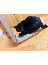 Club clover - せいかの女の子ブログ画像