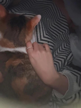 Club clover - せいかの女の子ブログ画像