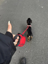 Club clover - せいかの女の子ブログ画像