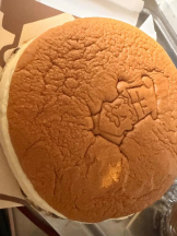 Club clover - せいかの女の子ブログ画像