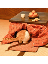 VIVID - いとの女の子ブログ画像